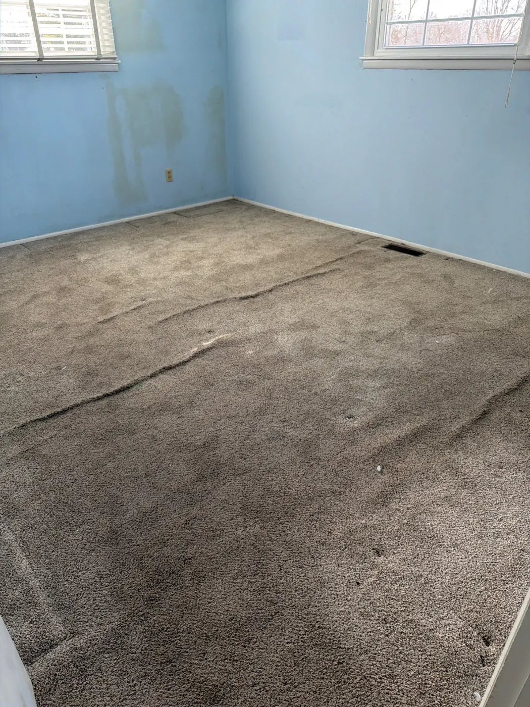 Affected material removal during Centennial sewage backup remediation