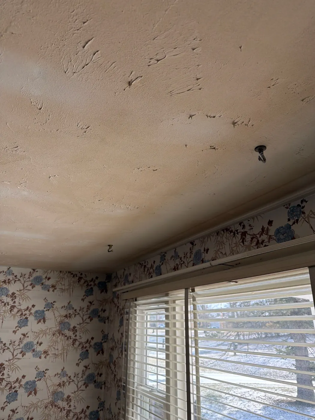 Thermal imaging during water damage assessment in Centennial residence